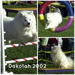 Dakotah 2002 Collage